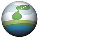 Enfoque Ambiental
